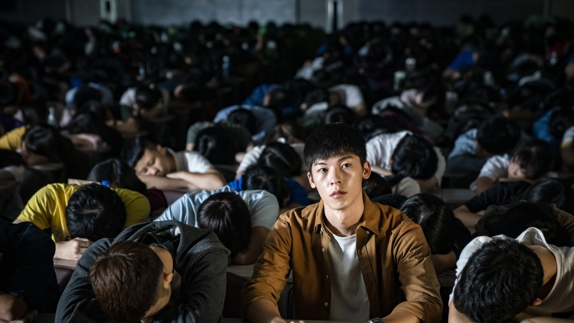 陽光普照